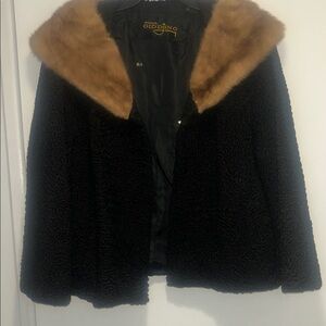 Black and Brown collar Persian fur